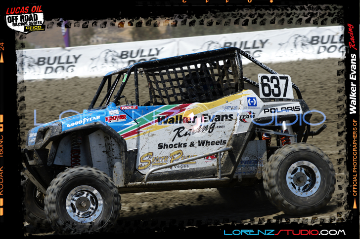 DSC06950LOORRS5.jpg - SONY DSC