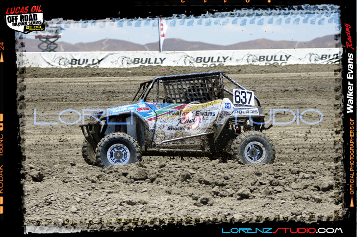 DSC08356LOORRS6.jpg - SONY DSC