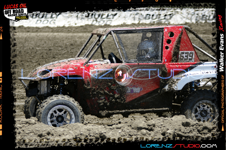DSC08381LOORRS6.jpg - SONY DSC
