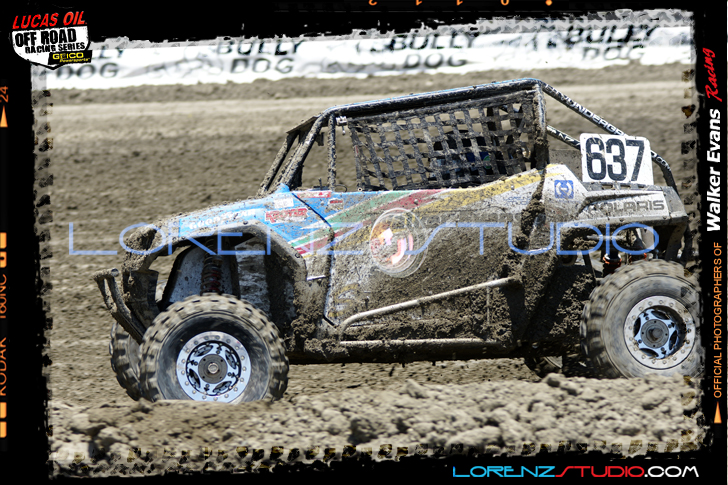DSC08402LOORRS6.jpg - SONY DSC