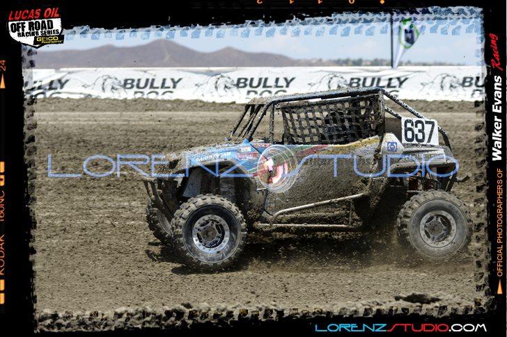 DSC08442LOORRS6.jpg - SONY DSC