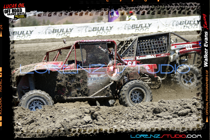 DSC08460LOORRS6.jpg - SONY DSC