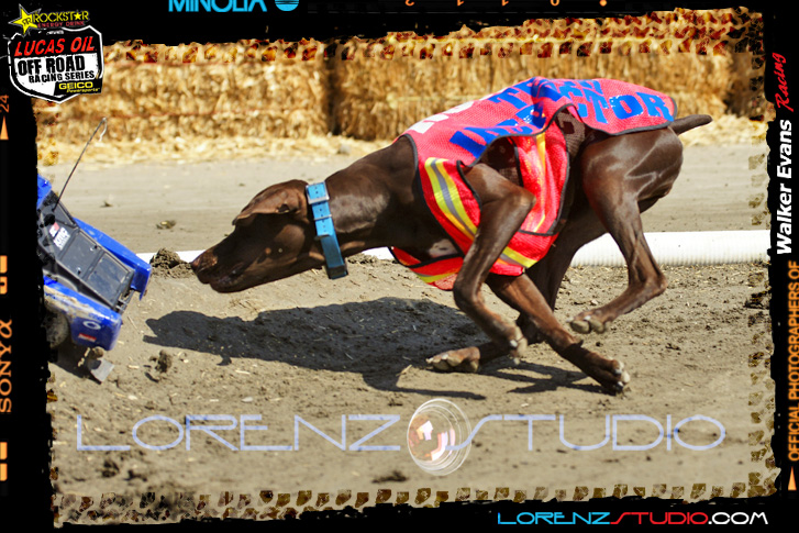 DSC09197LOORRS8.jpg - SONY DSC