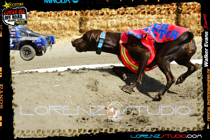 DSC09198LOORRS8.jpg - SONY DSC