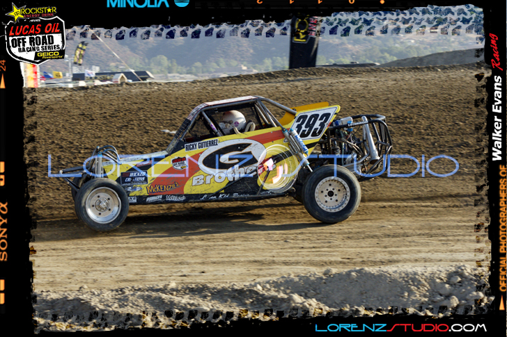 DSC02786LOORRS8.jpg - SONY DSC