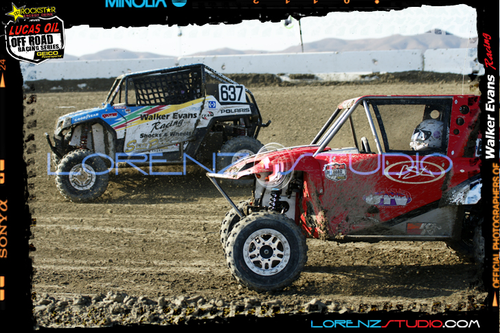 DSC09548LOORRS8.jpg - SONY DSC