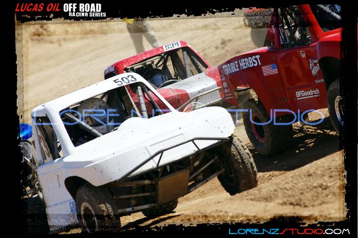DSC08179loorrs1sunn.jpg - SONY DSC