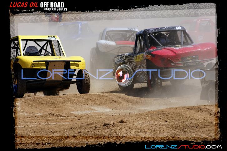 DSC08200loorrs1sunn.jpg - SONY DSC