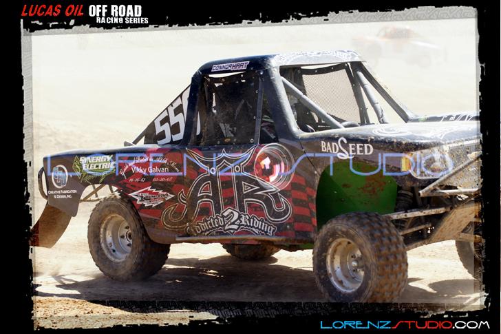 DSC08231loorrs1sunn.jpg - SONY DSC