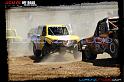 DSC08196loorrs1sunn