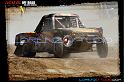 DSC08223loorrs1sunn