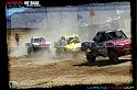 DSC08273loorrs1sunn
