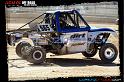 DSC08423loorrs1sunn