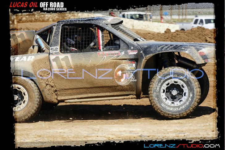 DSC07796loorrs1sunn.jpg - SONY DSC