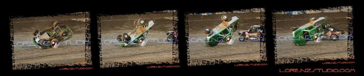 DSC08147-8150_collage.jpg