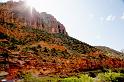 day18_zion4-732216