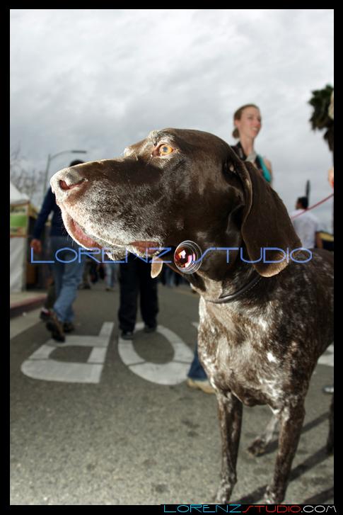 DSC03161.jpg - SONY DSC